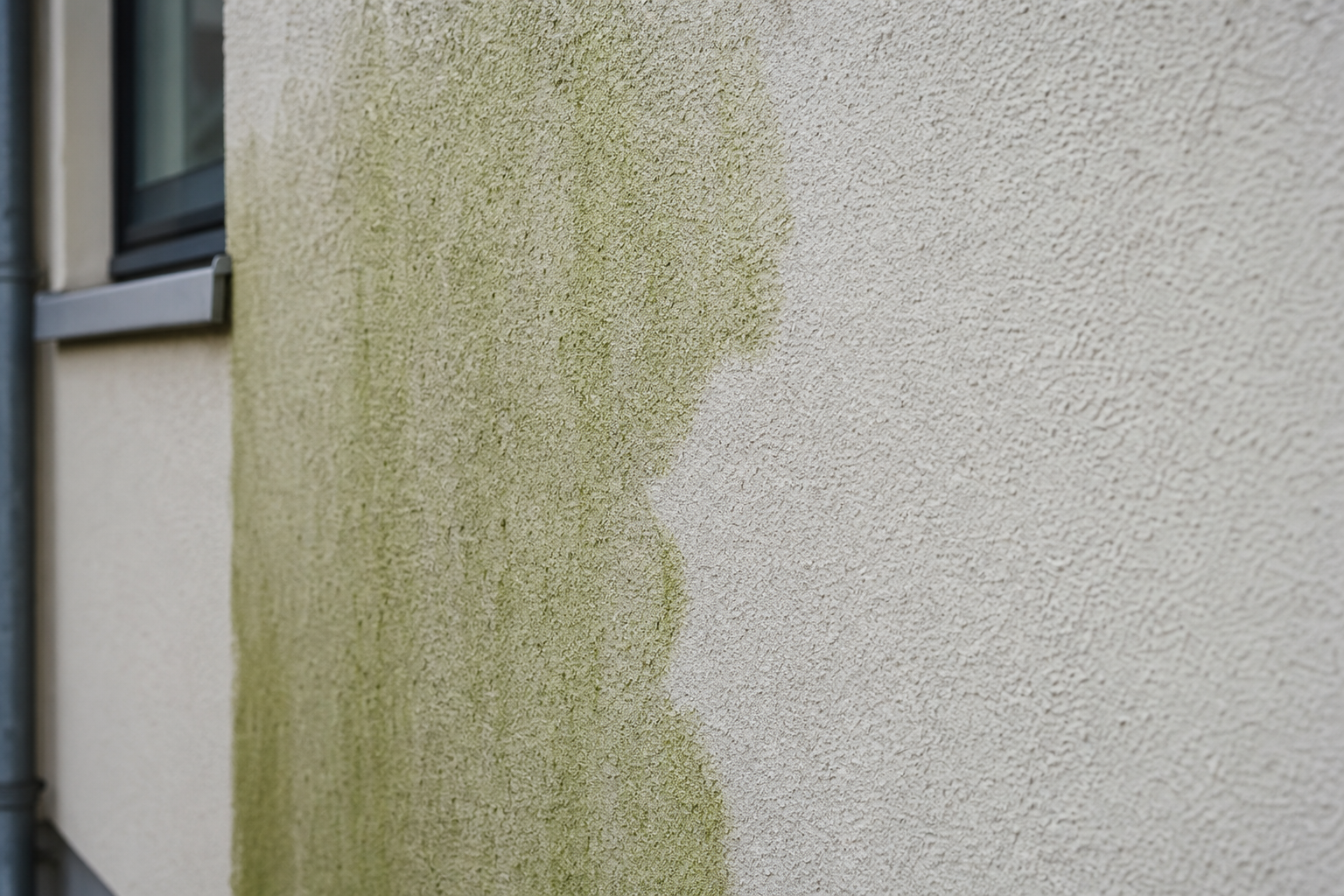Fassaden Profis bei der Fassadenreinigung